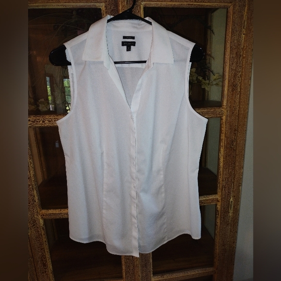 Talbots Perfect Shirt-Sleeveless Non Iron Top size 10 - Picture 2 of 5
